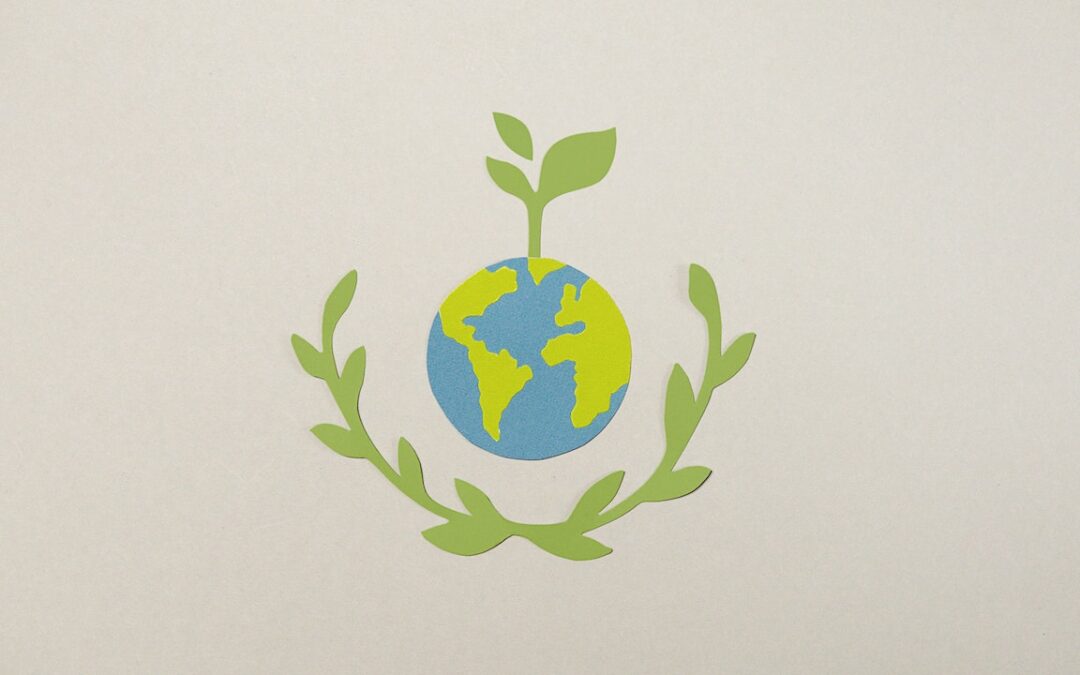 Forward Capital is now offering tailor-cut sustainability consultation services